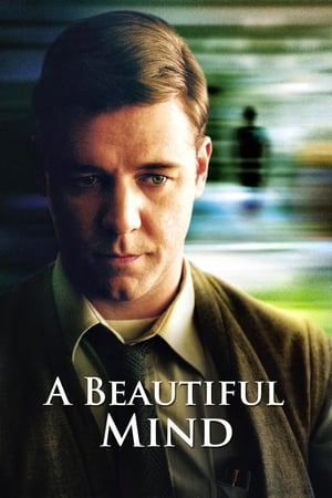A Beautiful Mind 2001 Dual Audio | Dubbed Hindi Movie BluRay 450MB