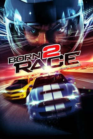 Born to Race Fast Track 2014 Dual Audio | Dubbed Hindi Movie BluRay [840MB]