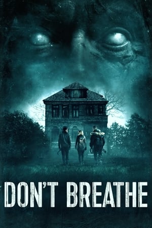Don't Breathe (2016) Dual Audio | Dubbed Hindi Movie BluRay [850MB]