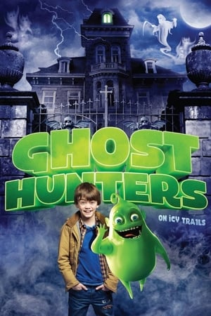 Ghosthunters On Icy Trails 2015 Dual Audio | Dubbed Hindi Movie BluRay [870MB]