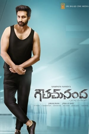 Goutham Nanda (2017) ( – Telugu) Dual Audio UnCut HDRip | Dubbed Hindi Movie – 480p