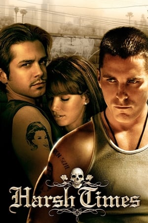Harsh Times 2005 Dual Audio HDRip | Dubbed Hindi Movie – 480p