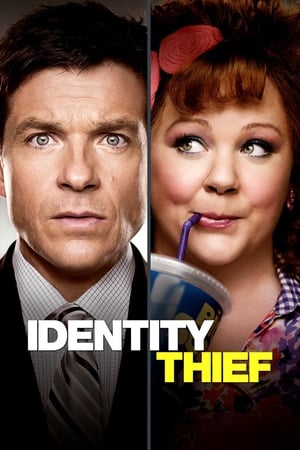 Identity Thief (2013) Dual Audio | Dubbed Hindi Movie BluRay 350MB