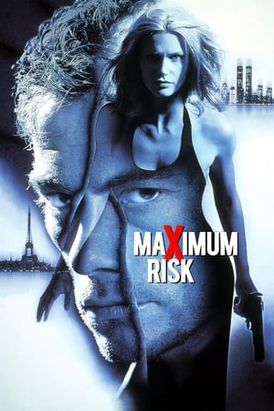 Maximum Risk (1996) Dual Audio | Dubbed Hindi Movie BluRay [850MB]