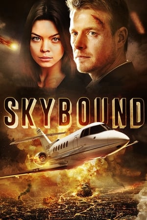 Skybound (2017) Dual Audio | Dubbed Hindi Movie BluRay [1.2GB]