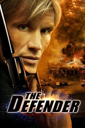 The Defender (2004) Dual Audio | Dubbed Hindi Movie BluRay [1.2GB]