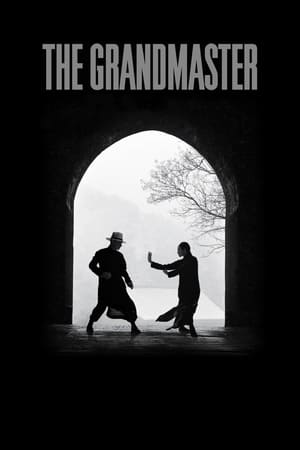 The Grandmaster (2013) Dual Audio | Dubbed Hindi Movie BluRay 350MB ESubs