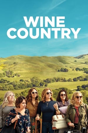 Wine Country (2019) Dual Audio | Dubbed Hindi Movie Web-DL 350MB