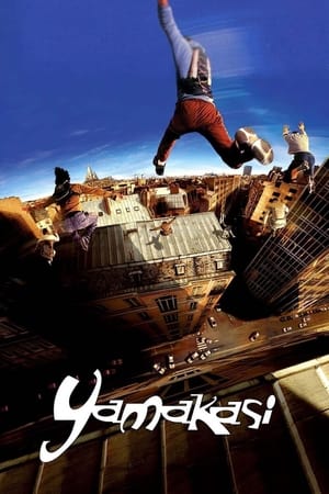 Yamakasi 2001 Dual Audio | Dubbed Hindi Movie BluRay 300MB