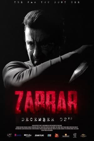 Zarrar (2022) Urdu Movie Pre-DVDRip | Dubbed Hindi Movie – 480p